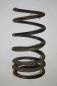 Preview: Feder hinten links LR019981 Land Rover FREELANDER 1 LN