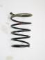 Preview: Feder hinten links 550208H762 Nissan X-TRAIL 1