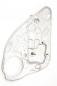 Preview: Fensterheber mechanisch hinten links 3M51R045H23BB Ford FOCUS C-MAX