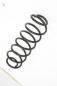Preview: Feder hinten links 2S615560AE Ford FIESTA 5 JH