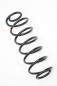 Preview: Feder hinten links 2S615560AE Ford FIESTA 5 JH