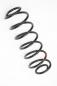 Preview: Feder hinten links 2S615560AE Ford FIESTA 5 JH