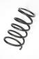 Preview: Feder hinten links 550208H762 Nissan X-TRAIL 1