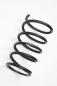 Preview: Feder hinten rechts 550208H762 Nissan X-TRAIL 1