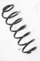 Preview: Feder hinten links 2S615560AE Ford FIESTA 5 JH