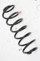 Preview: Feder hinten rechts 2S615560AE Ford FIESTA 5 JH