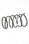 Preview: Feder hinten links 550208H762 Nissan X-TRAIL 1