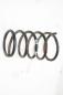 Preview: Feder hinten rechts 550208H762 Nissan X-TRAIL 1