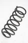 Preview: Feder hinten rechts 553301C500 Hyundai GETZ