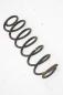 Preview: Feder hinten rechts 2S615560AE Ford FIESTA 5 JH