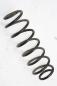 Preview: Feder hinten rechts 6Q0511115BG Seat IBIZA 3 6L