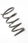Preview: Feder hinten links 550208H762 Nissan X-TRAIL 1