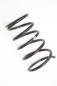 Preview: Feder hinten links 550208H762 Nissan X-TRAIL 1
