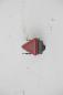 Preview: Schalter Warnblink 6Y0953235 Skoda FABIA 1 6Y