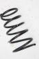 Preview: Feder hinten links 550208H712 Nissan X-TRAIL 1