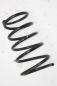 Preview: Feder hinten rechts 550208H712 Nissan X-TRAIL 1