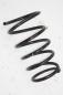 Preview: Feder hinten rechts 550208H712 Nissan X-TRAIL 1