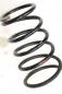Preview: Feder hinten links 550208H762 Nissan X-TRAIL 1
