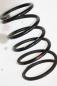 Preview: Feder hinten rechts 550208H762 Nissan X-TRAIL 1
