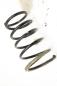 Preview: Feder hinten links 550208H762 Nissan X-TRAIL 1