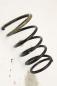 Preview: Feder hinten rechts 550208H762 Nissan X-TRAIL 1
