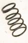 Preview: Feder hinten links 550208H762 Nissan X-TRAIL 1