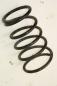 Preview: Feder hinten rechts 550208H762 Nissan X-TRAIL 1