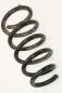 Preview: Feder hinten links 52441SWWE11 Honda CR-V 3