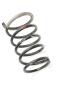Preview: Feder hinten links 550208H762 Nissan X-TRAIL 1