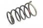 Preview: Feder hinten links 550208H762 Nissan X-TRAIL 1