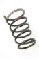 Preview: Feder hinten rechts 550208H762 Nissan X-TRAIL 1