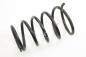 Preview: Feder hinten links 550208H762 Nissan X-TRAIL 1