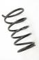 Preview: Feder hinten links 550208H762 Nissan X-TRAIL 1