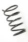 Preview: Feder hinten rechts 550208H762 Nissan X-TRAIL 1