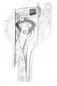Preview: Fensterheber elektrisch hinten links 834702E010 Hyundai TUCSON 1