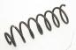 Preview: Feder hinten rechts 1H6511115J VW GOLF 3