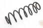 Preview: Feder hinten links 2S615560AE Ford FIESTA 5 JH