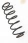 Preview: Feder hinten links 2S615560AE Ford FIESTA 5 JH