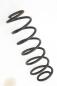 Preview: Feder hinten links 2S615560AE Ford FIESTA 5 JH