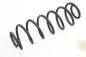 Preview: Feder hinten rechts 2S615560AE Ford FIESTA 5 JH