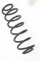 Preview: Feder hinten rechts 2S615560AE Ford FIESTA 5 JH