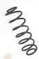Preview: Feder hinten rechts 2S615560AE Ford FIESTA 5 JH