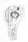 Preview: Fensterheber elektrisch hinten links 834702E010 Hyundai TUCSON 1