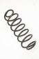 Preview: Feder hinten links 2S615560AE Ford FIESTA 5 JH