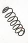Preview: Feder hinten links 2S615560AE Ford FIESTA 5 JH