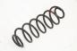 Preview: Feder hinten rechts 2S615560AE Ford FIESTA 5 JH