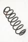Preview: Feder hinten rechts 2S615560AE Ford FIESTA 5 JH