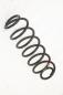 Preview: Feder hinten rechts 2S615560AE Ford FIESTA 5 JH