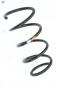 Preview: Feder vorn rechts 6001549185 DACIA LOGAN 1 MCV