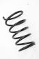 Preview: Feder hinten links 550208H762 Nissan X-TRAIL 1